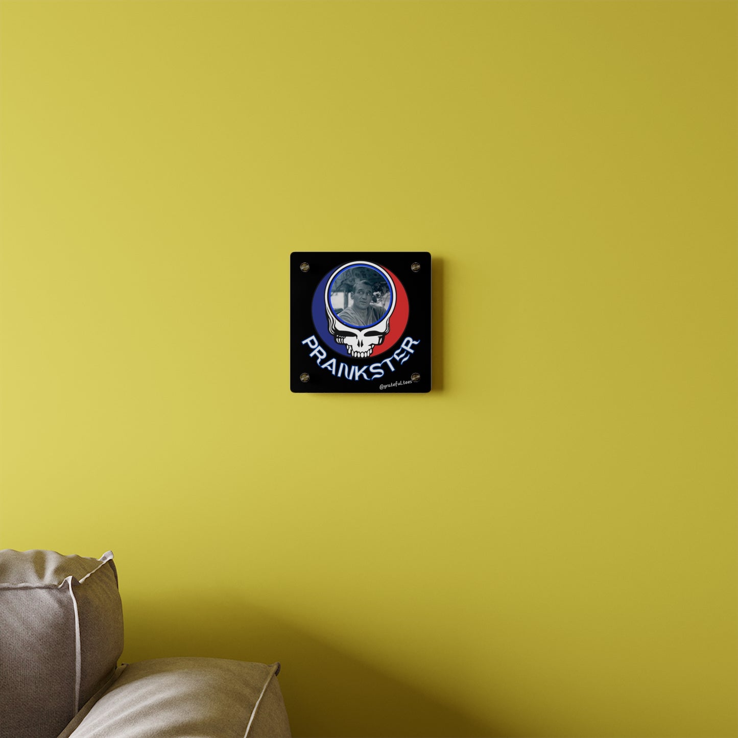 Grateful Dead art Cassady Merry Prankster steal your face Acrylic Wall Art Panels Gratefuldead art