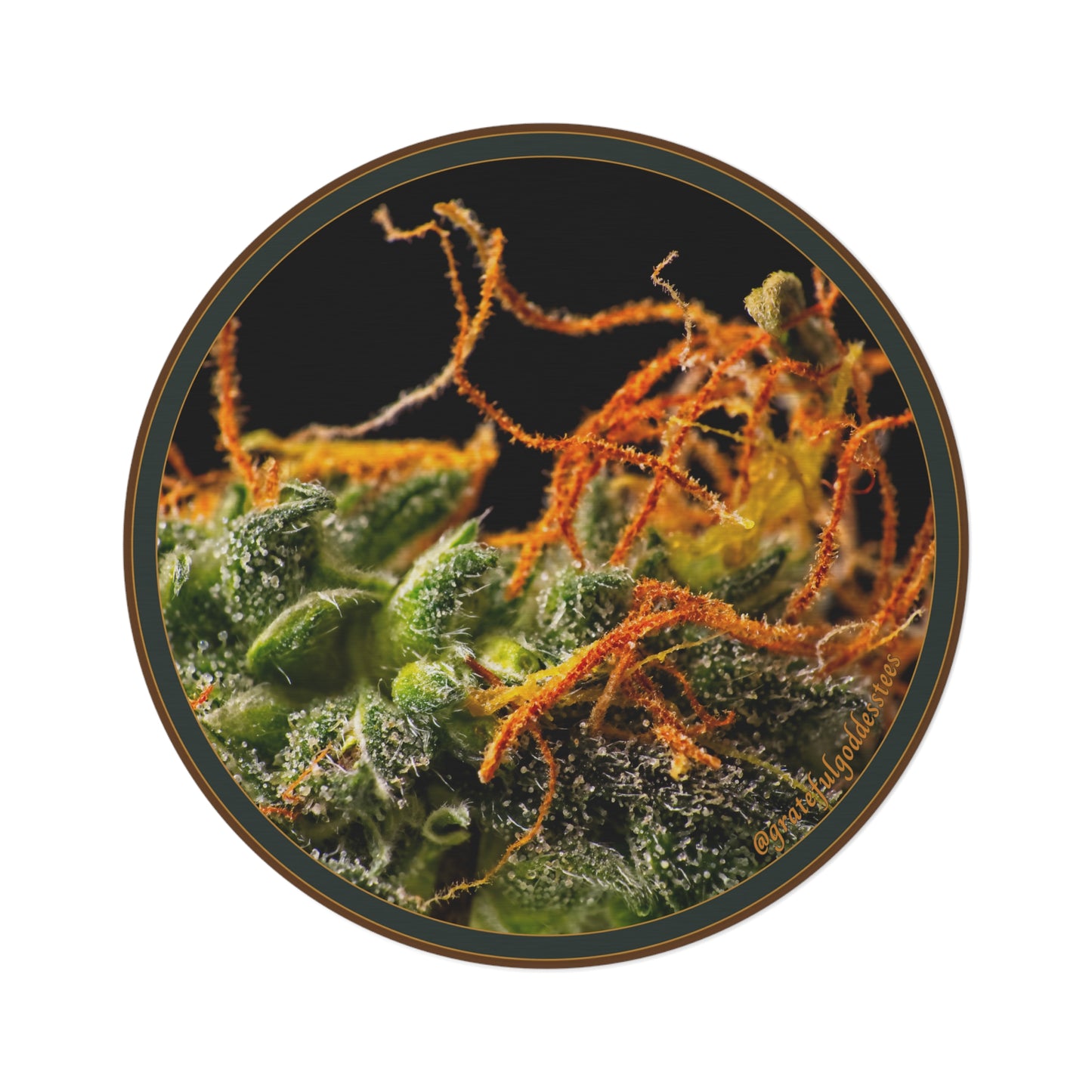 Cannabis bud Round Rug